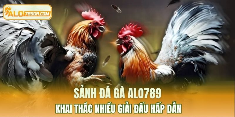 Sảnh đá gà ALO789 khai thác nhiều giải đấu hấp dẫn